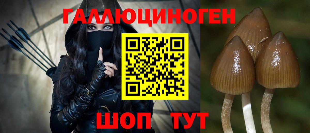 наркота  Псилоцибиновые грибы Magic Shrooms  Вход с VPN  Павловский Посад 
